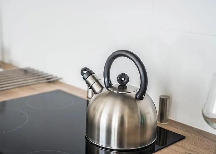 Dominikanska 9 * بوزنان